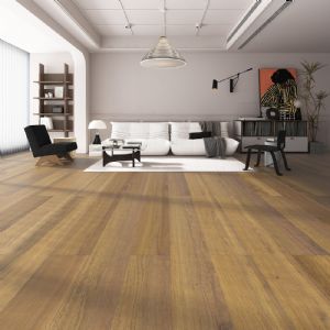 QLD Spotted Gum / ADLX-5508